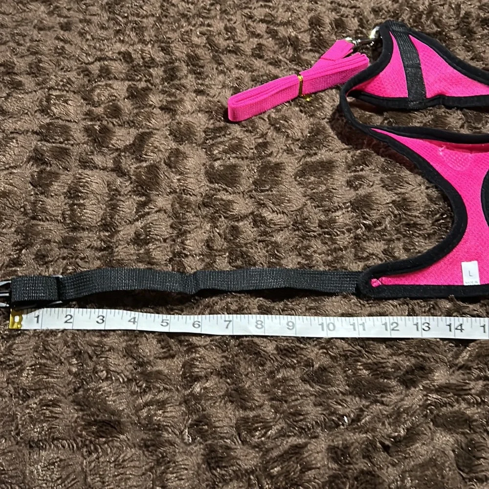 BOGO Pet Harness and Leash